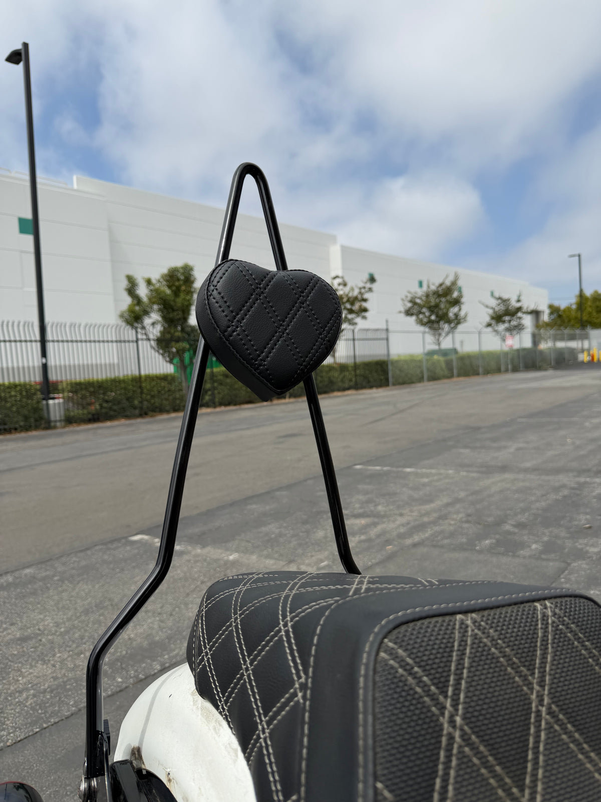 Heart Sissy Bar for Harley-Davidson Sportster | Handmade + Double Diamond Pad