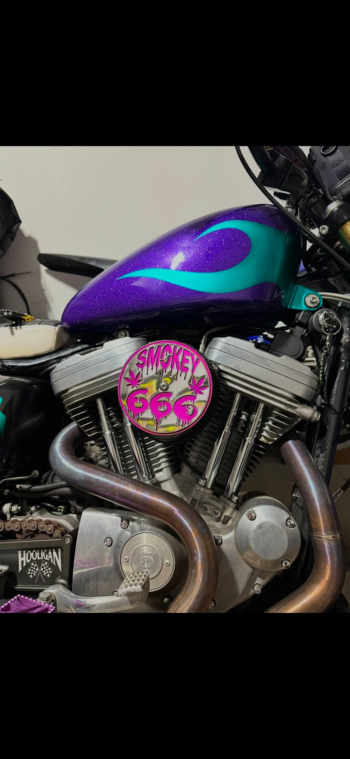 Custom Harley-Davidson Air Cleaner Cover | Personalized 2-Piece Stainless Steel