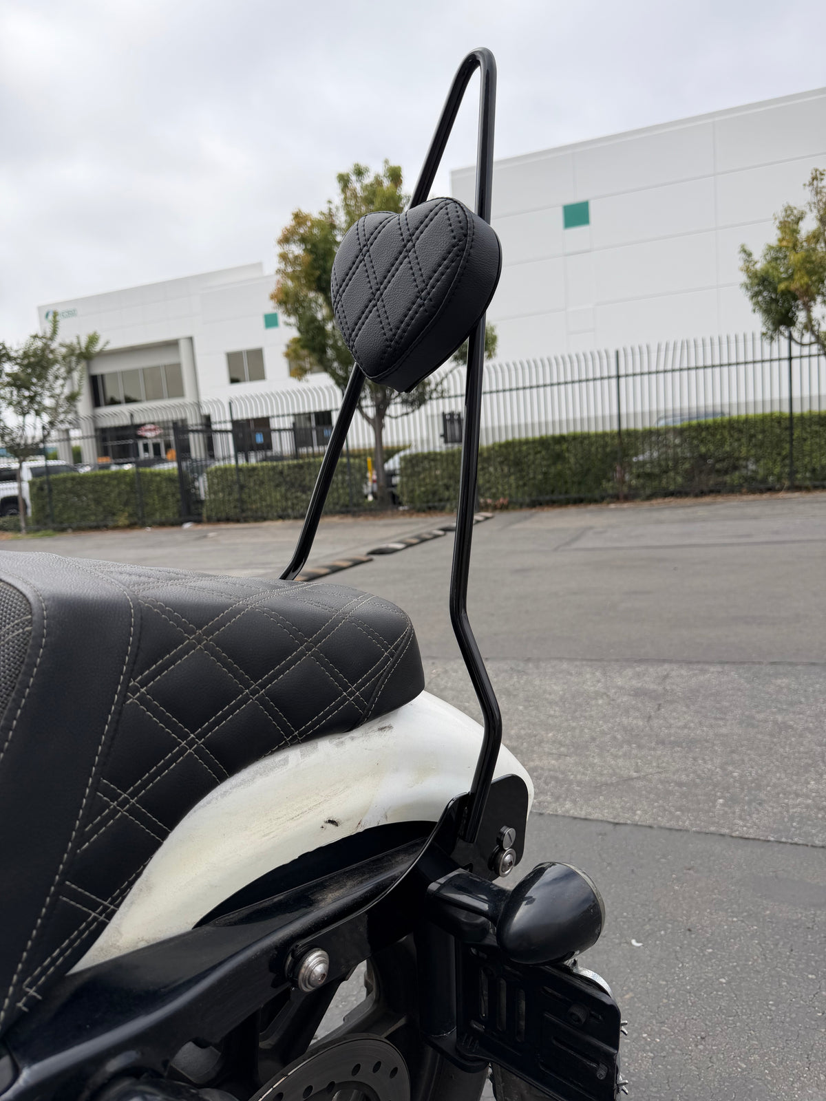 Heart Sissy Bar for Harley-Davidson Sportster | Handmade + Double Diamond Pad