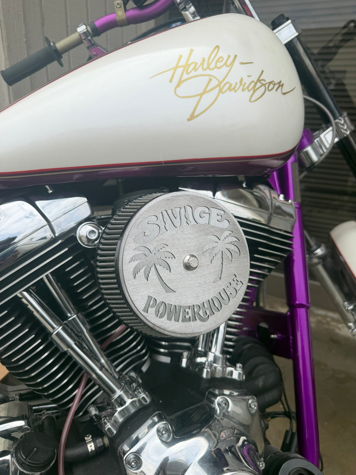 Custom Harley-Davidson Air Cleaner Cover | Personalized 2-Piece Stainless Steel