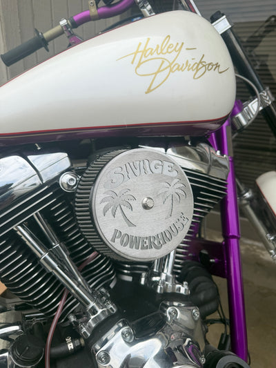 Custom Harley-Davidson Air Cleaner Cover | Personalized 2-Piece Stainless Steel